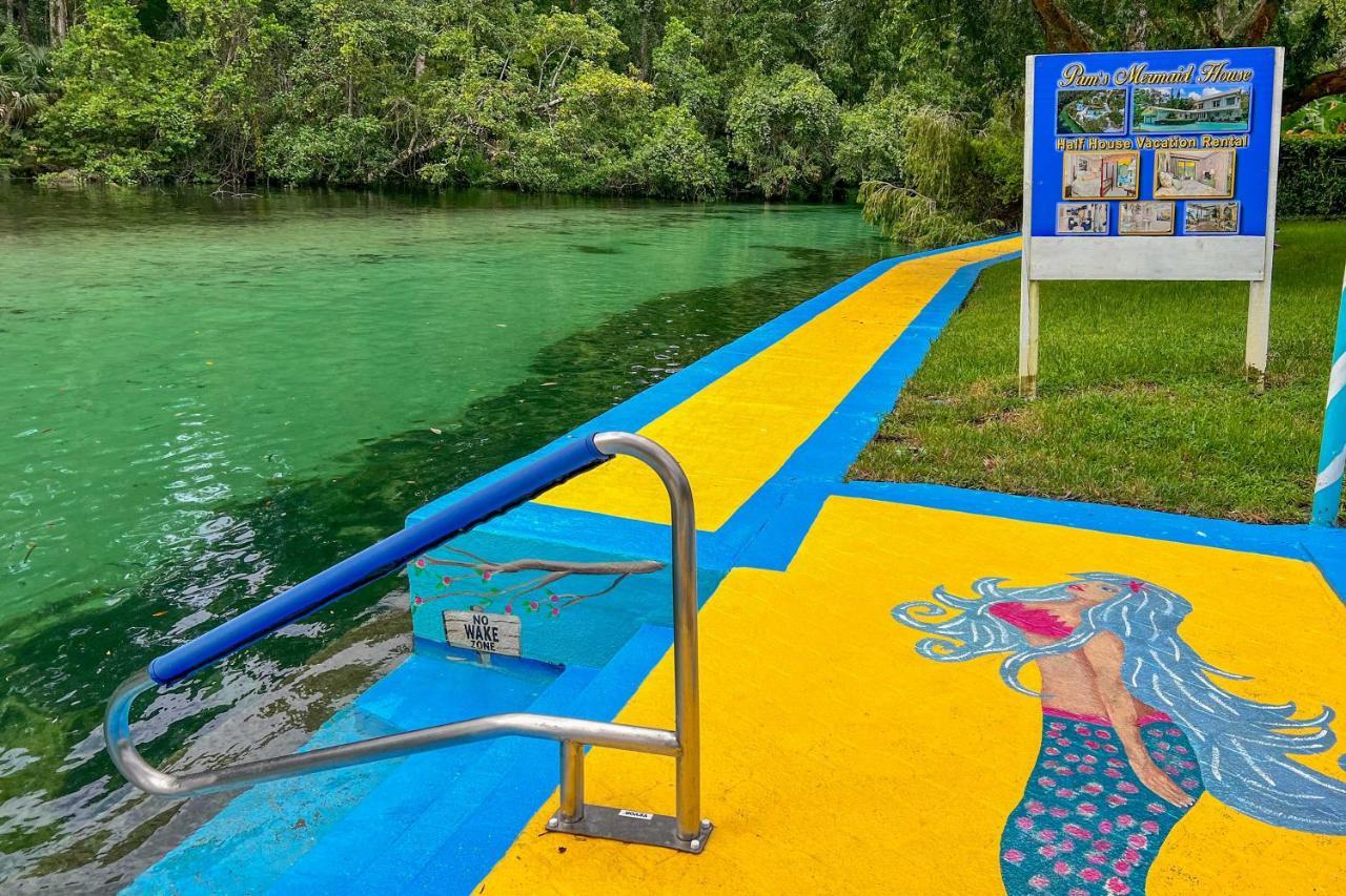 Apartmán Pams Mermaid House With Riverfront Yard And Lanai! Weeki Wachee Exteriér fotografie