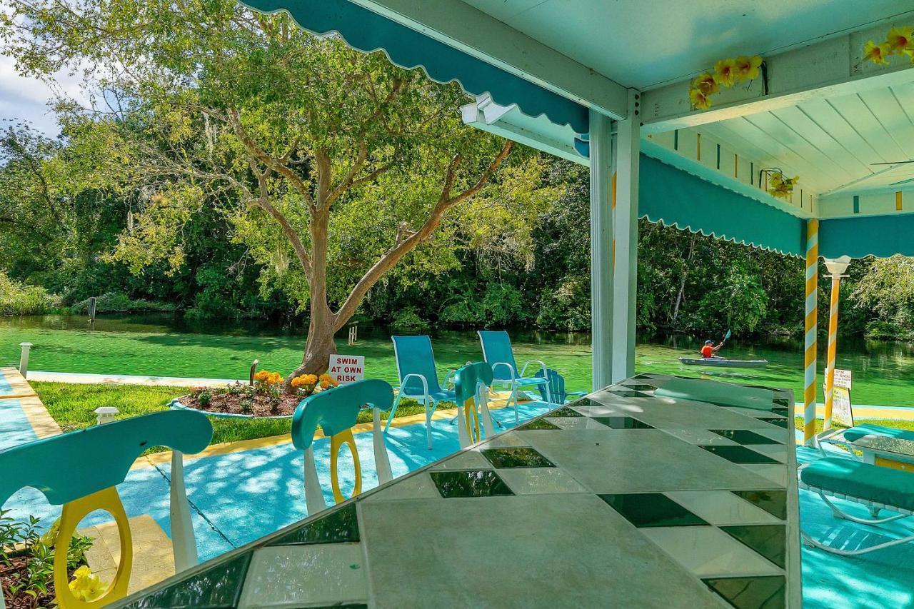 Apartmán Pams Mermaid House With Riverfront Yard And Lanai! Weeki Wachee Exteriér fotografie